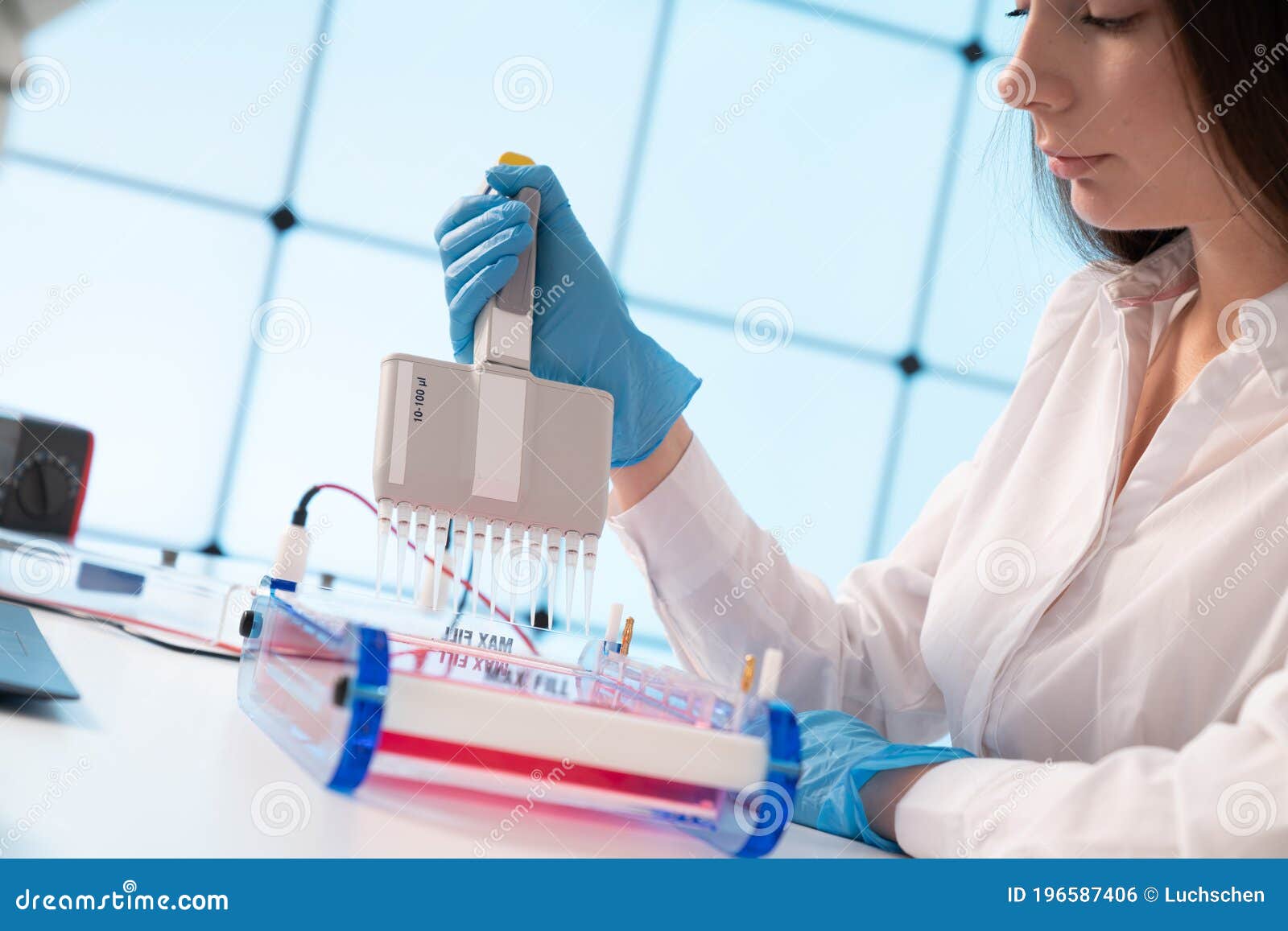Loading Samples and Running an Agarose Gel for Electrophoresis, Gel