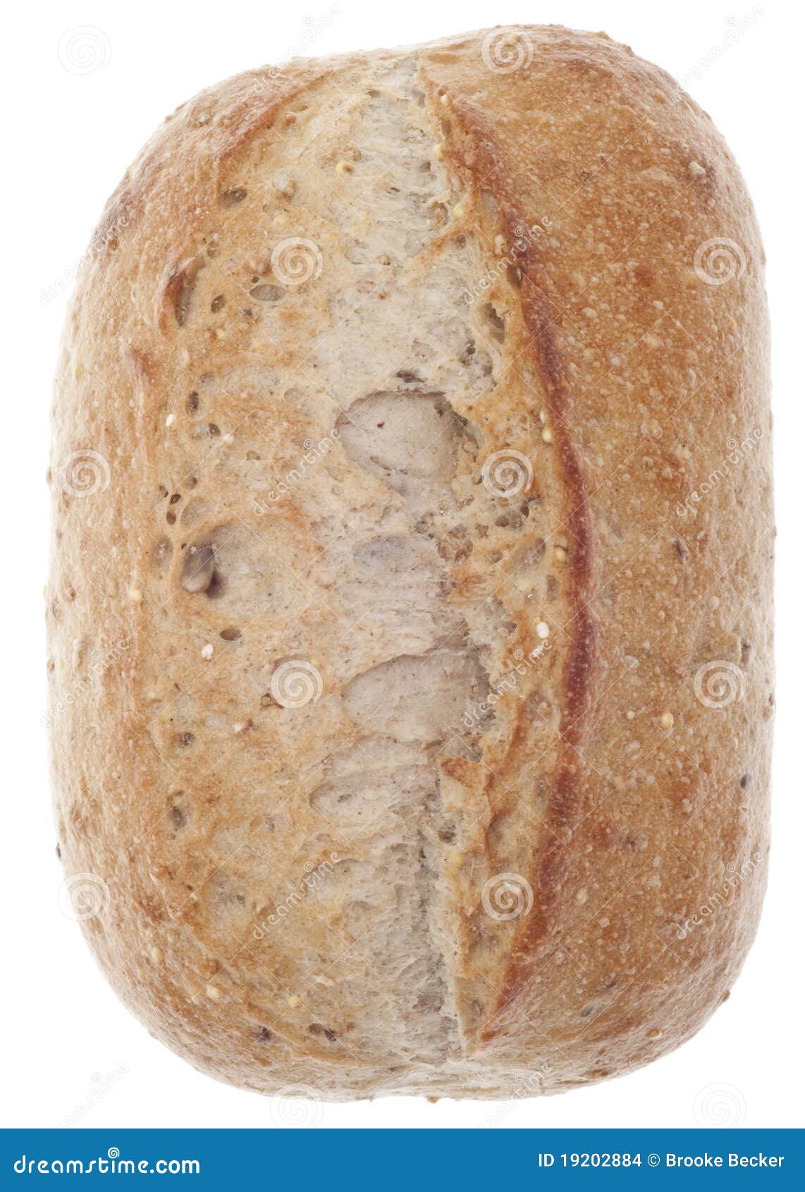 Loaf of Crusty Whole Wheat Bread Stock Photo Image of dinner