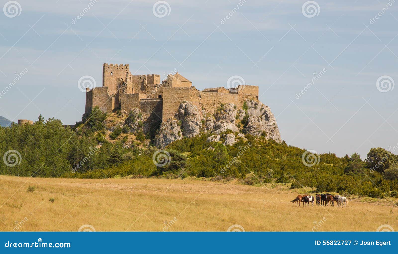 loarre castle in loarre, spain with grazing horses