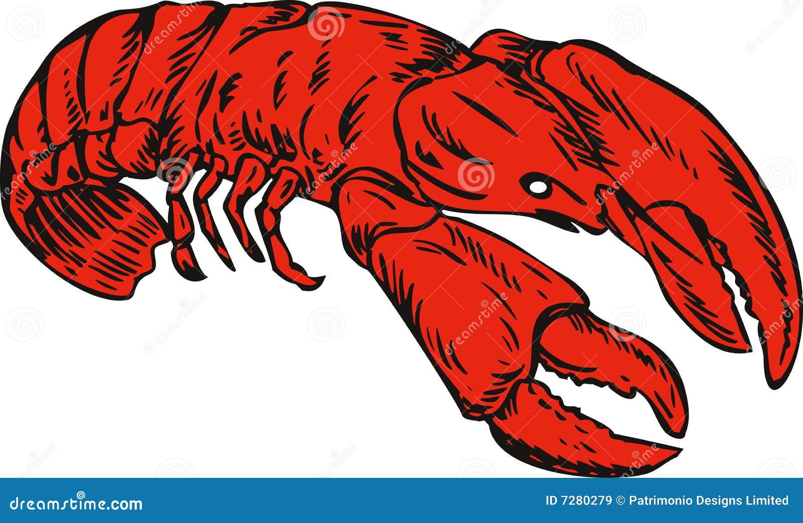 Rock Lobster Illustration 83915540