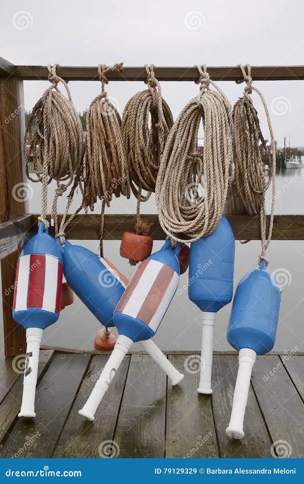 Lobster buoy and ropes stock image. Image of harbor, harbour