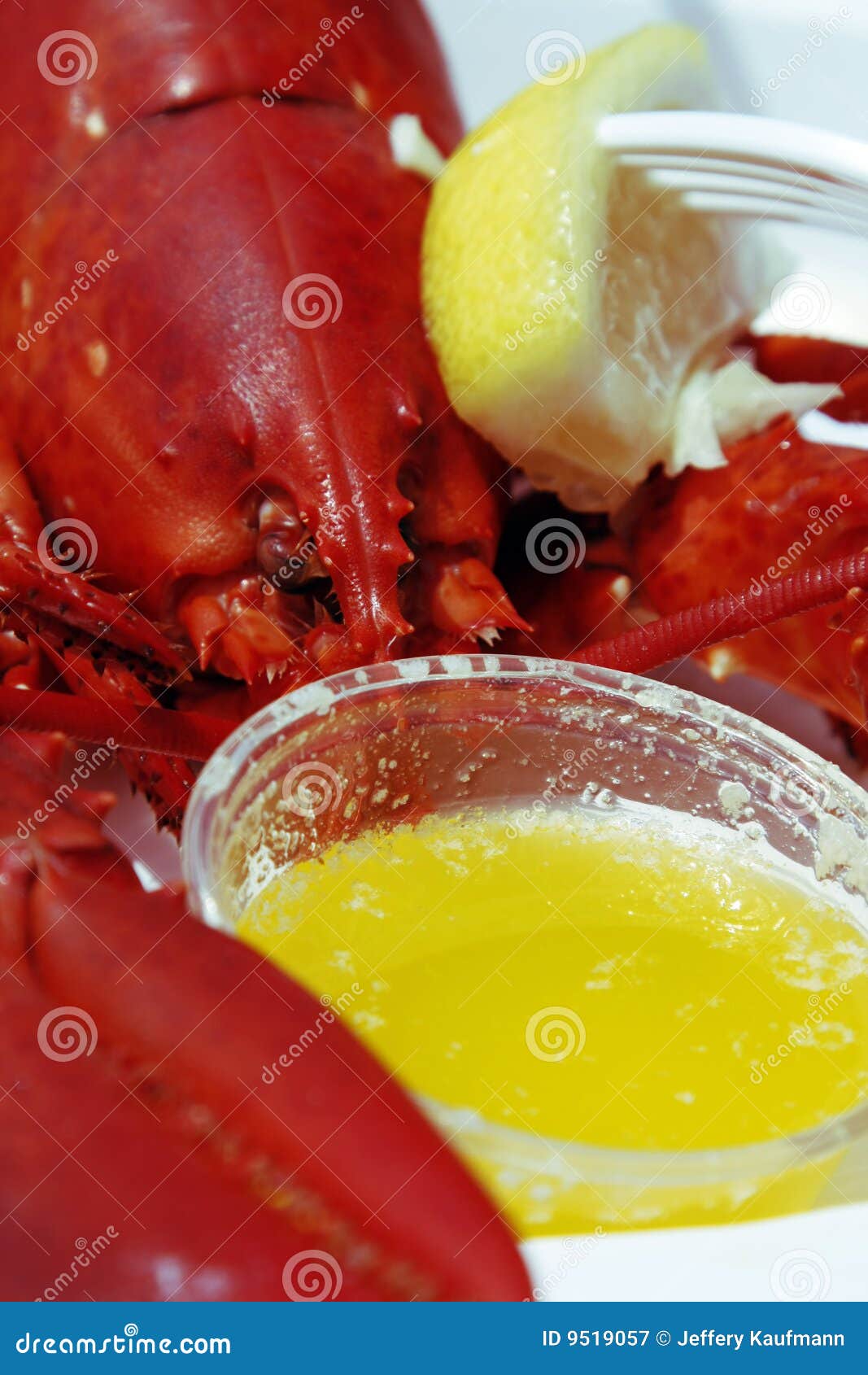 Lobster Butter stock image. Image of drawn, maine, butter 9519057