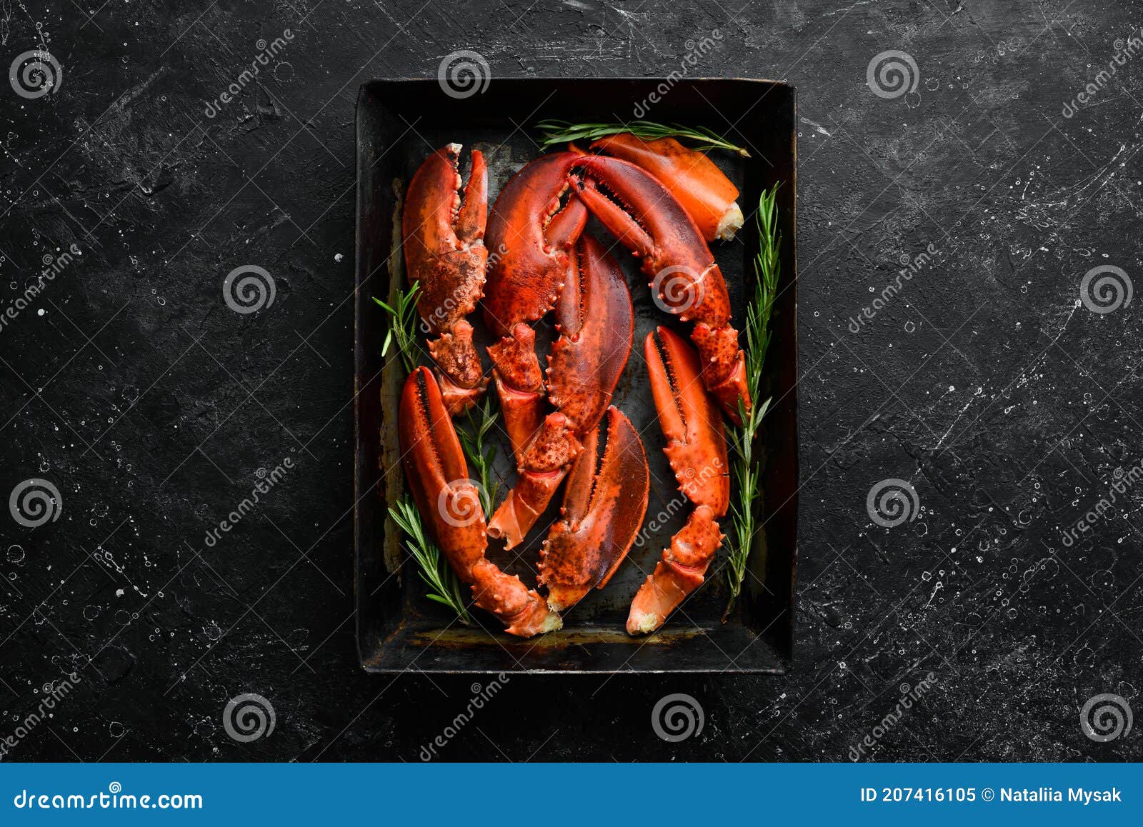 lobster claws. boiled crustacean claws on a black stone background.