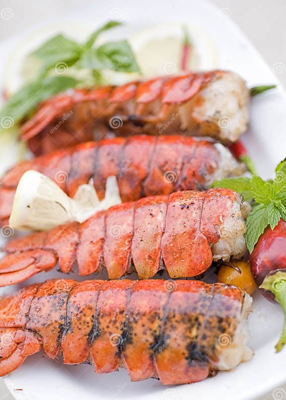 Lobster dinner stock image. Image of delicious, mint 26922795