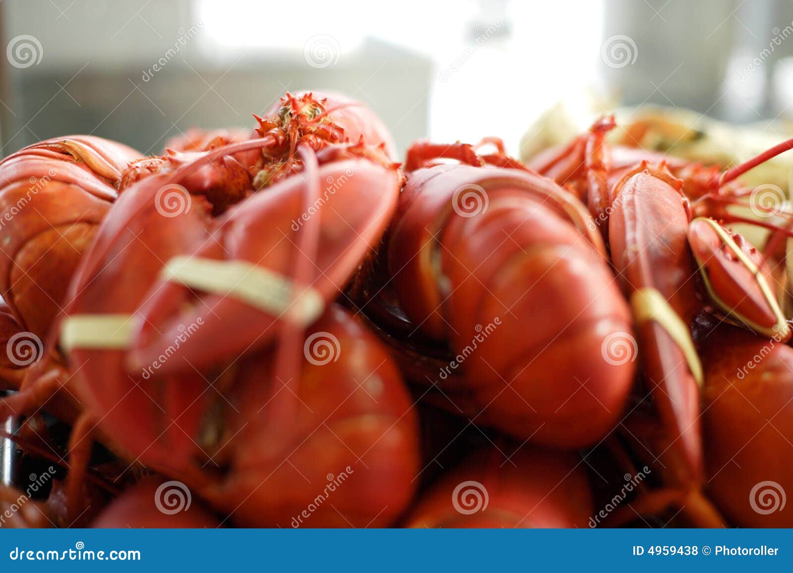 Lobster at Fisherman S Warf in San Francisco Stock Photo Image of case, claw 4959438