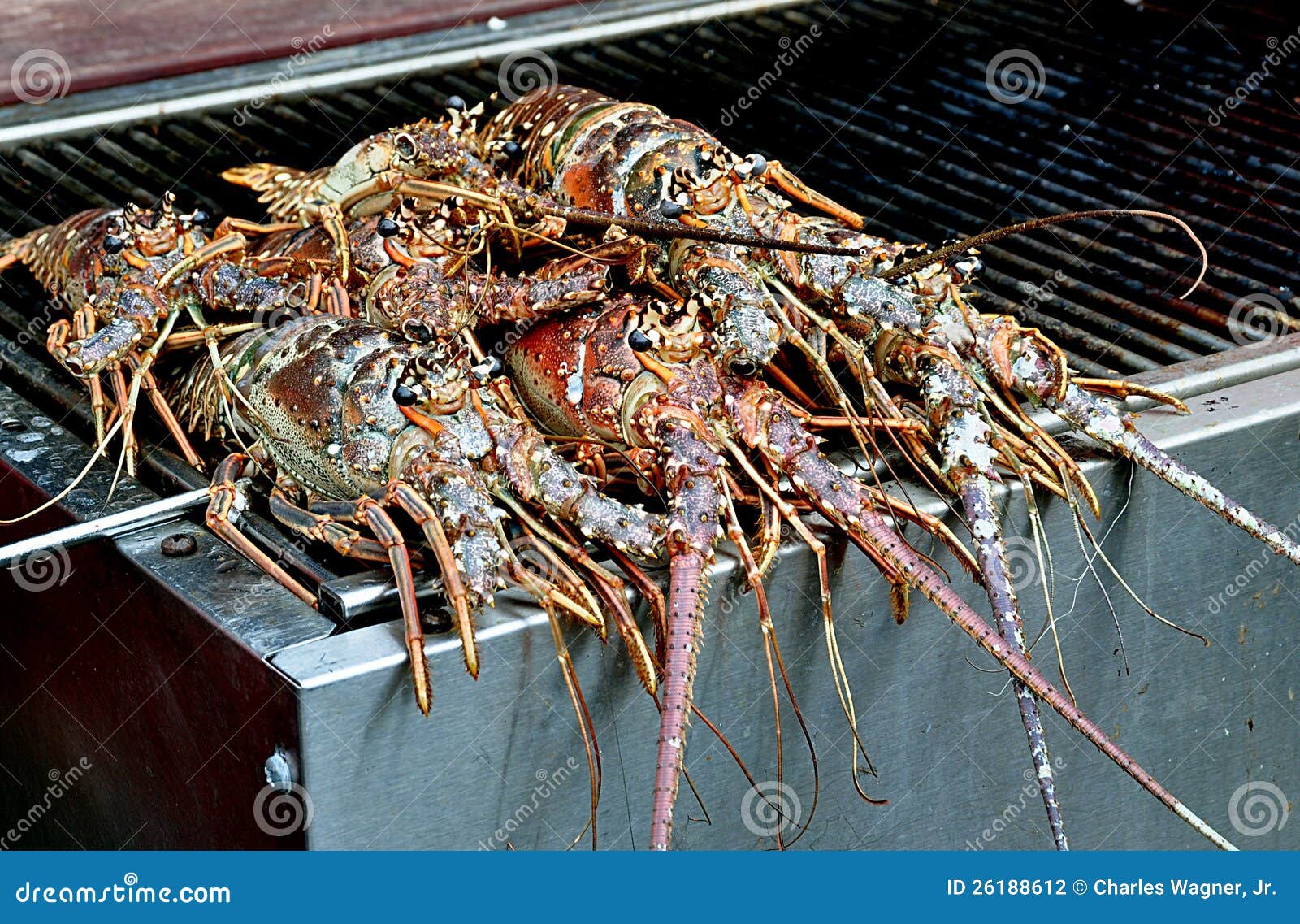 Lobster on the Grill stock photo. Image of cook, shellfish 26188612