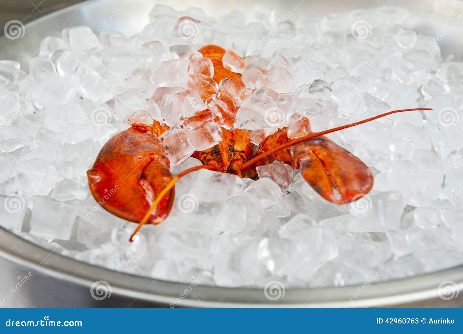 Lobster stock image. Image of crawfish, cold, eyes, expensive 42960763