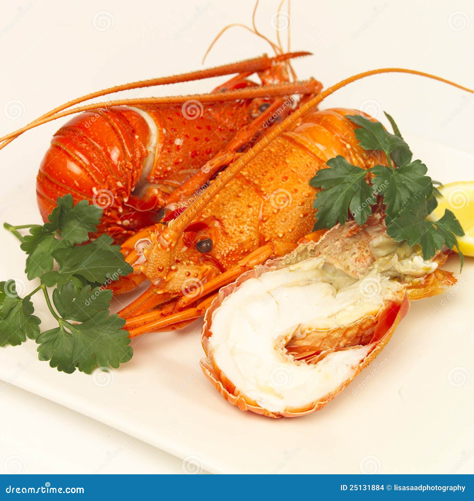 Lobster lunch stock photo. Image of seafood, lobster 25131884