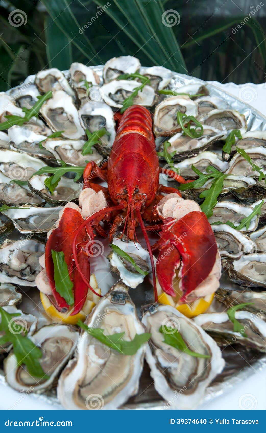 Lobster And Oysters, Fresh Seafood Stock Photo Image of road, nature