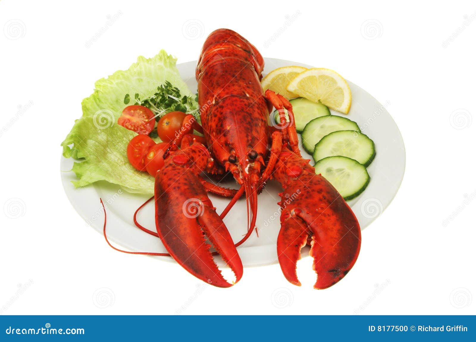Lobster on plate stock photo. Image of cucumber, garnish 8177500