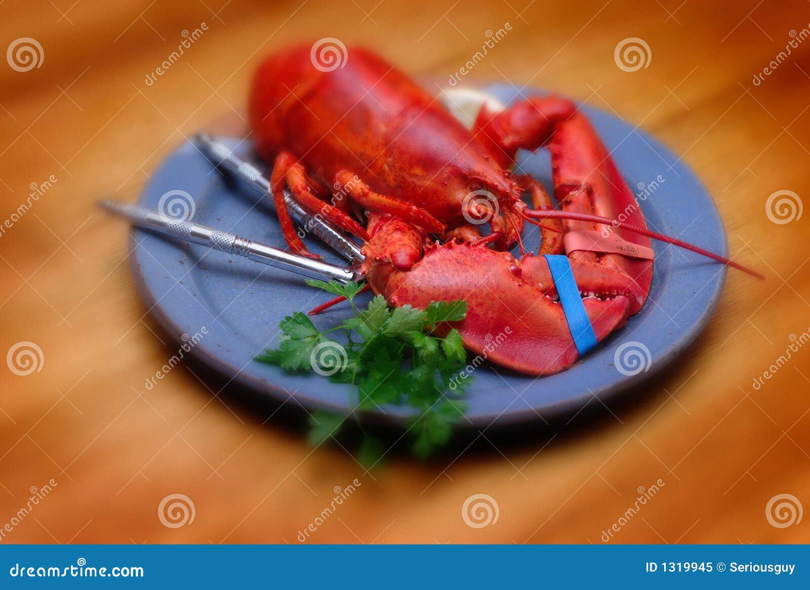 Lobster Platter stock image. Image of crustacean, maine 1319945