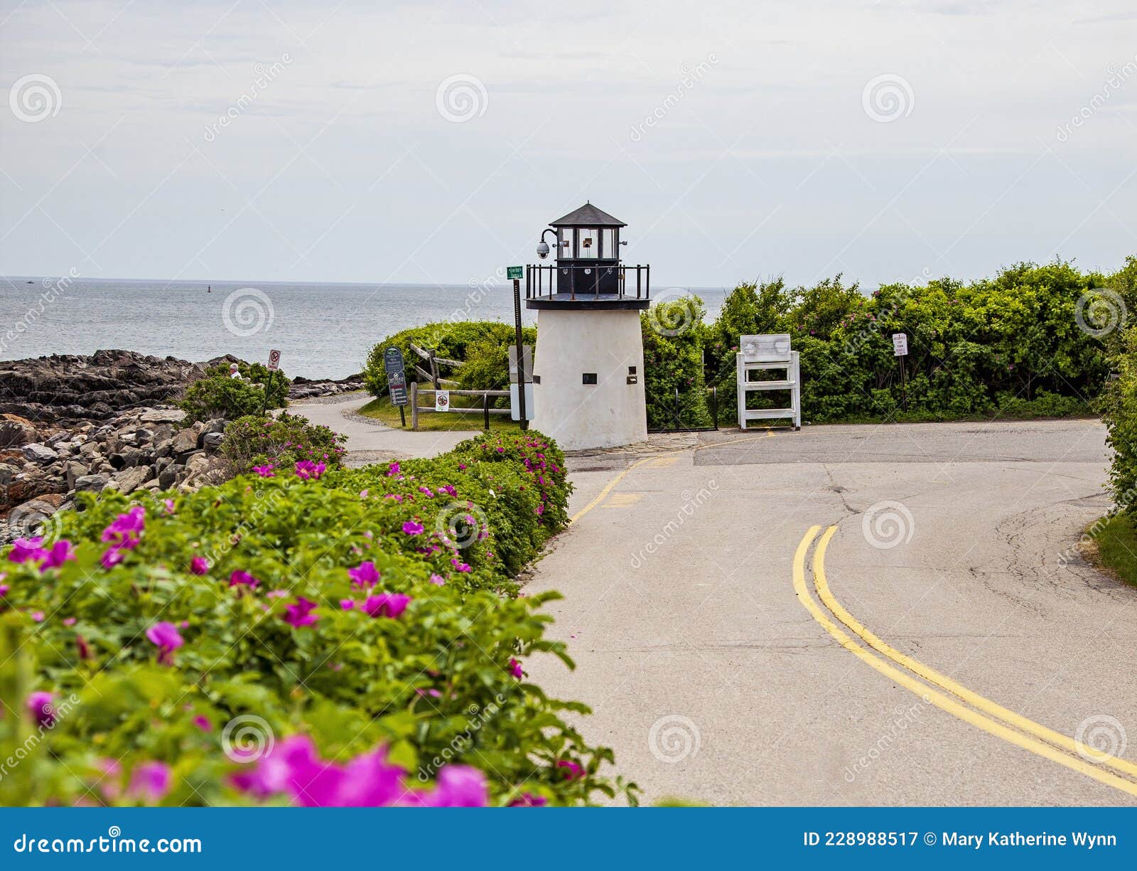 lobster point lighthouse along the rocky coast of maine on the marginal way path in ogunquit