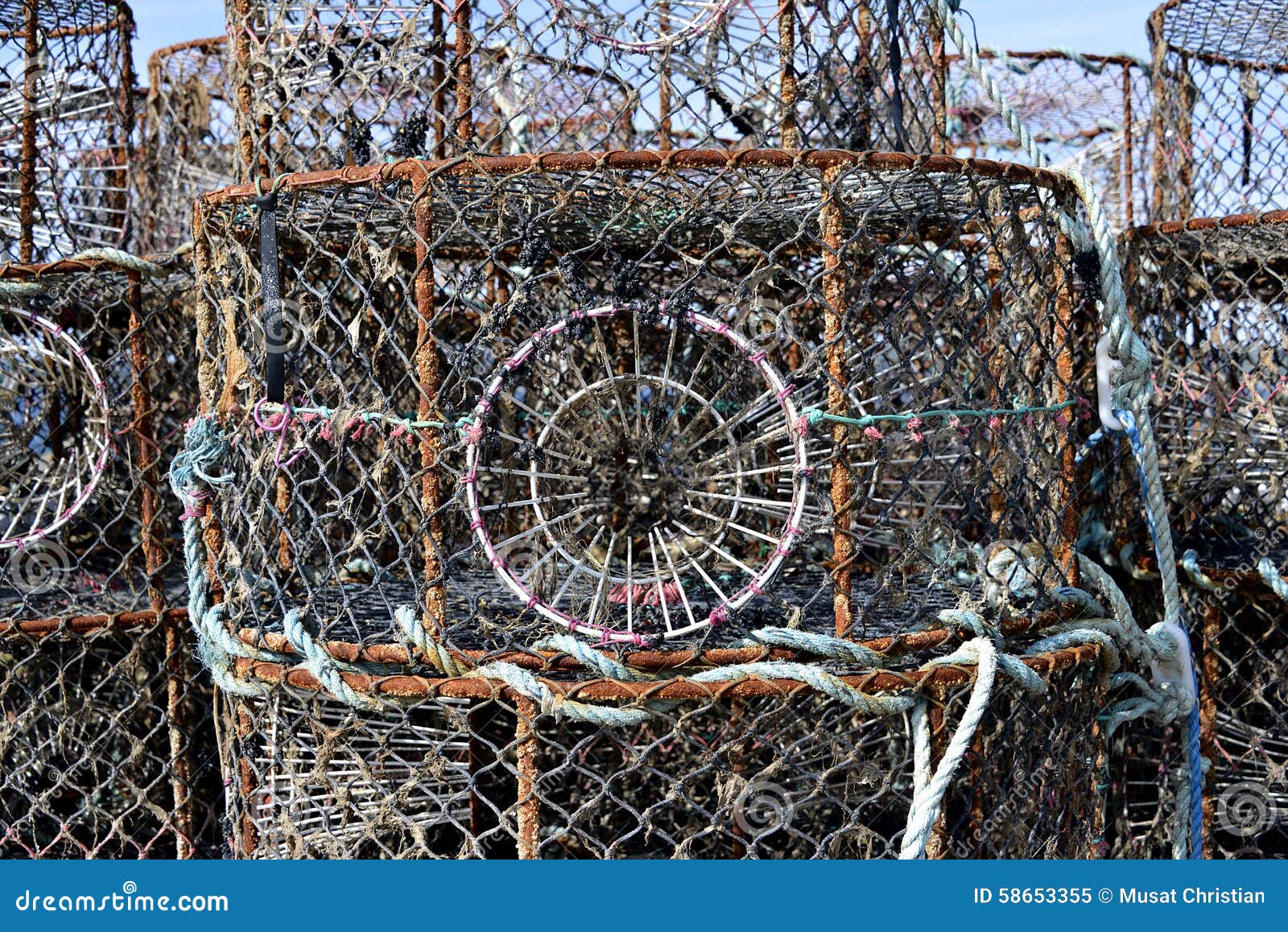 Lobster Pot in French Brittany Stock Image Image of harbor, knot