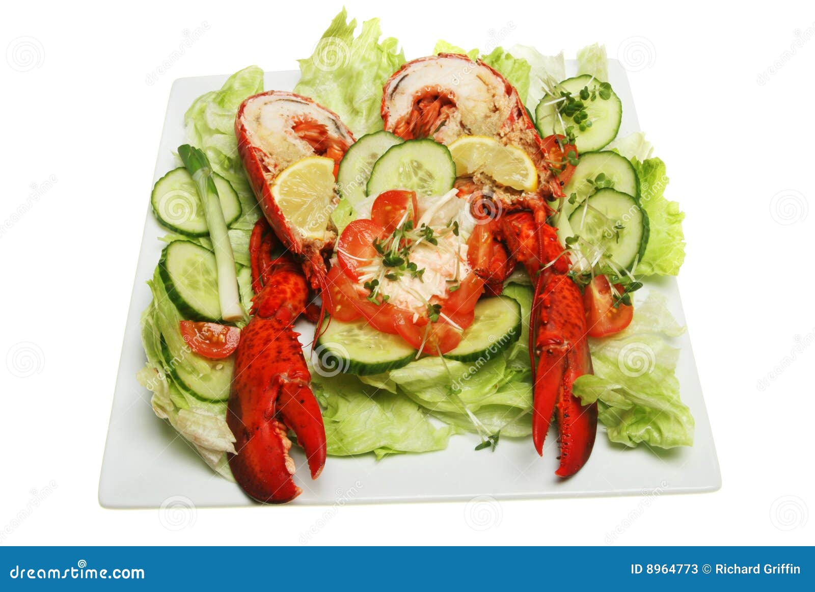 Lobster salad stock image. Image of meat, fresh, square 8964773