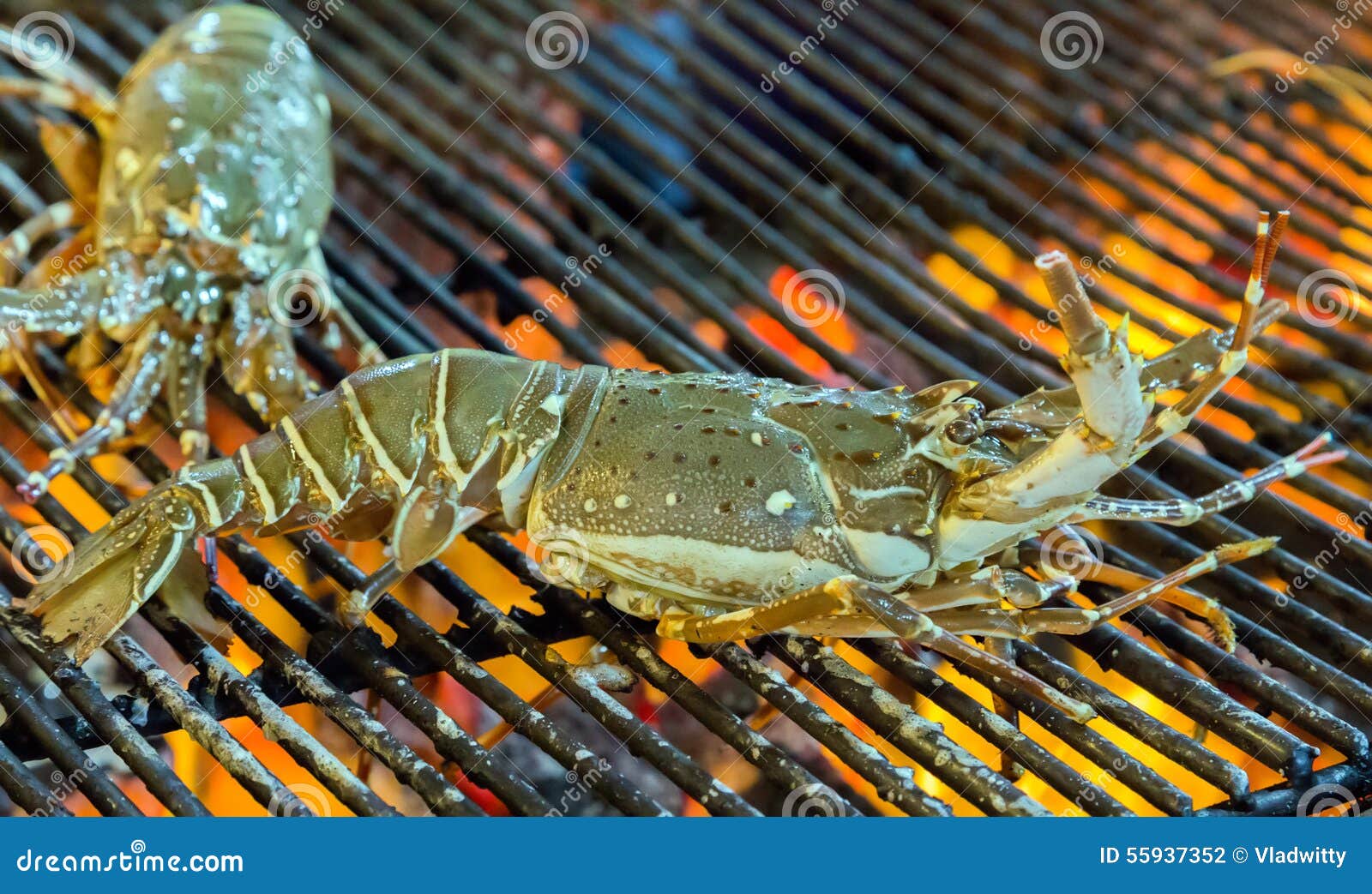 Lobster Seafood in BBQ Flames Stock Photo Image of laos, fire 55937352
