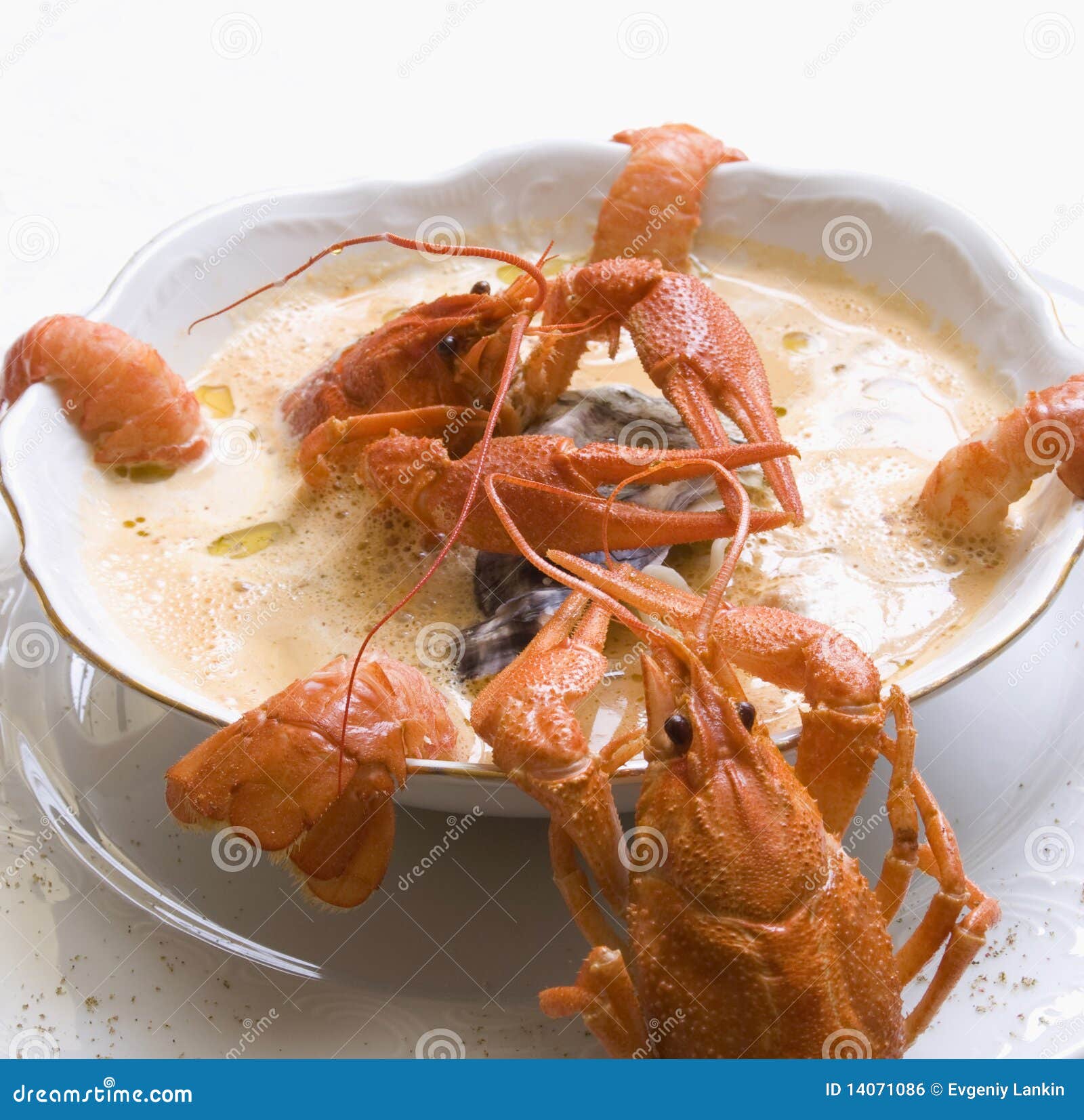 Lobster soup stock photo. Image of gourmet, served, shellfish 14071086