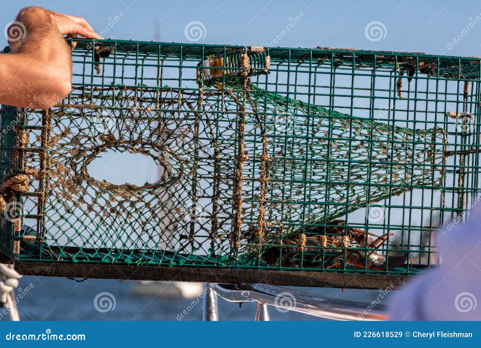 Lobster Trap Demonstration on a Boat in Boothbay Harbor Maine on a