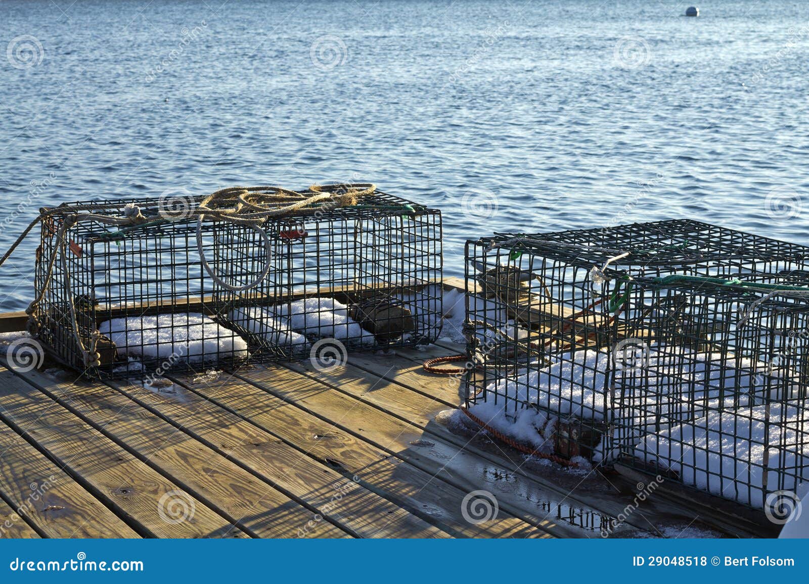 Lobster Traps on Dock in the Early Morning Light Stock Photo Image of