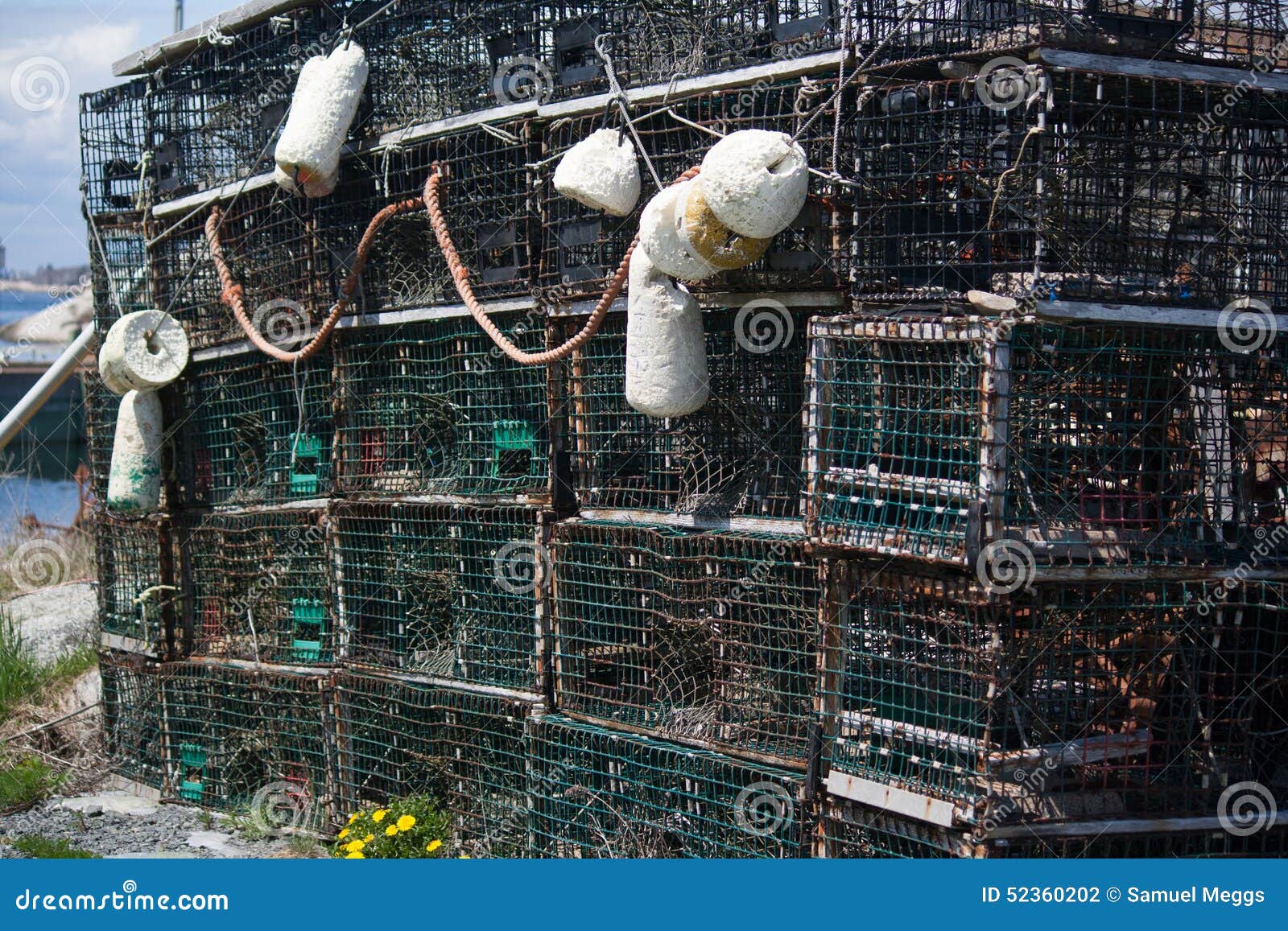 Lobster traps stock photo. Image of marina, maritimes 52360202