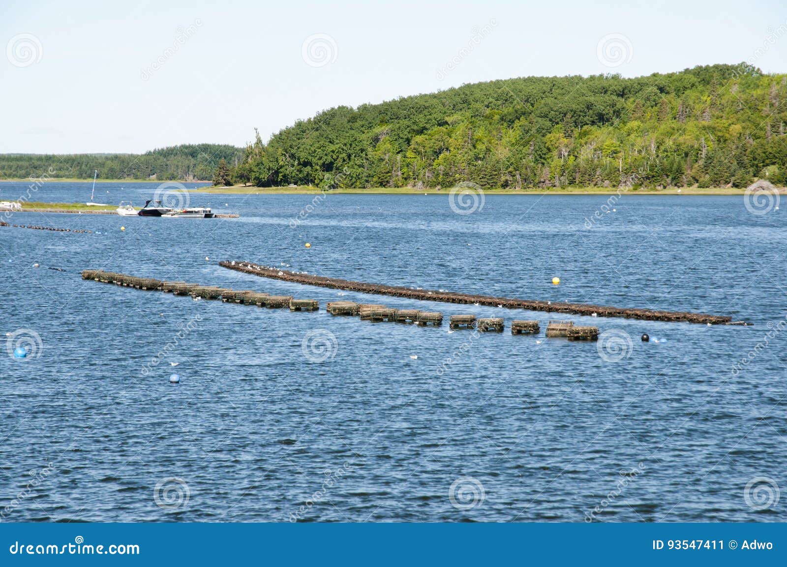 Lobster Traps Prince Edward Island Canada Stock Image Image of