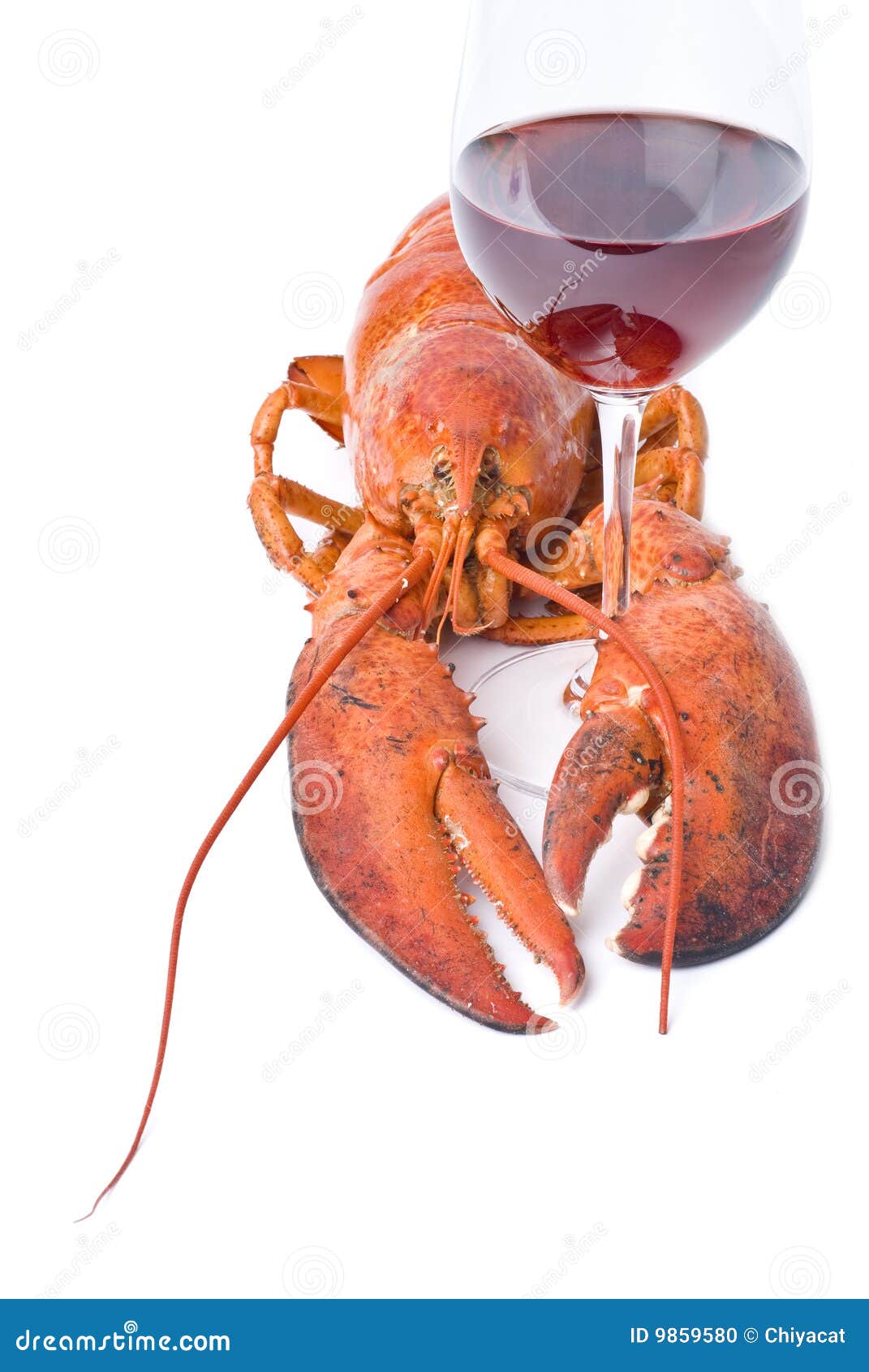 Lobster and Wine stock photo. Image of macro, state, meal 9859580