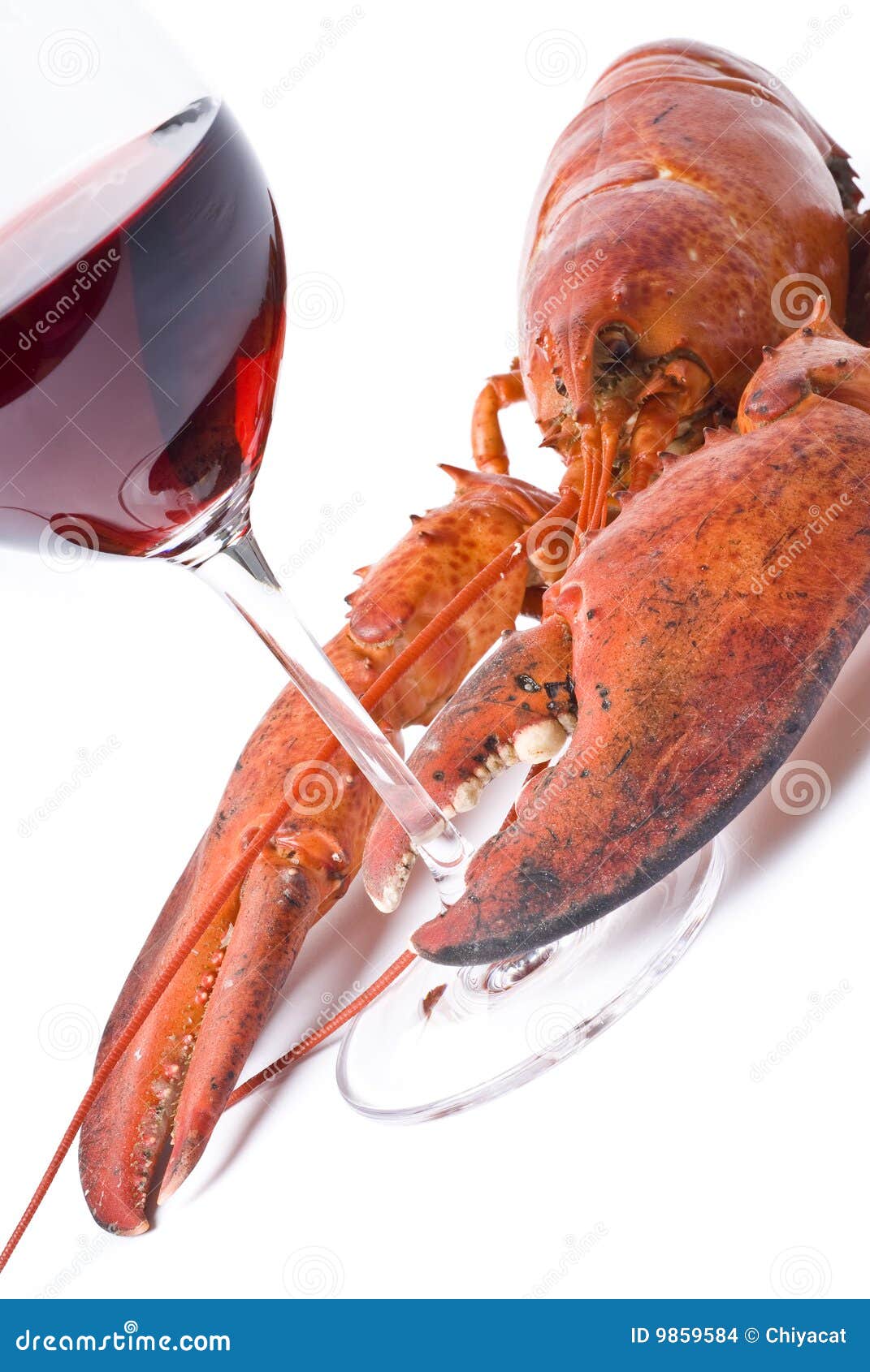 Lobster and Wine stock photo. Image of close, isolated 9859584