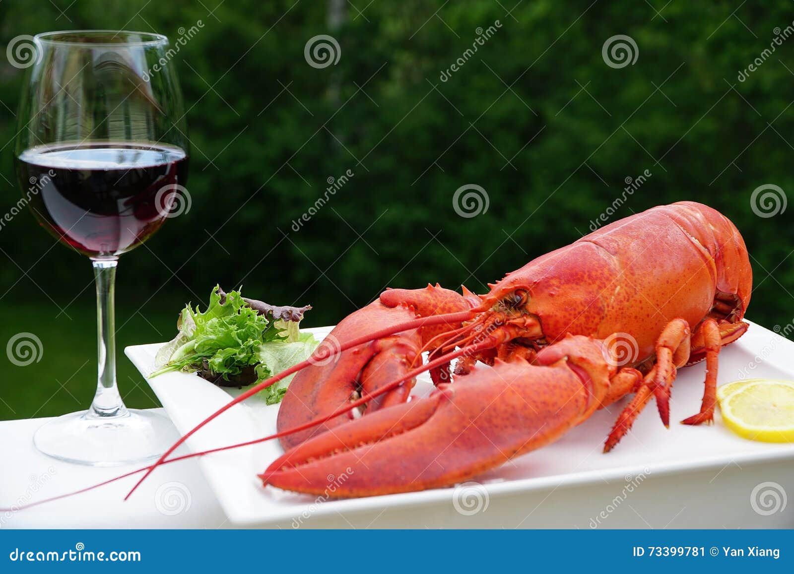 Lobster and Wine stock image. Image of lobster, background 73399781