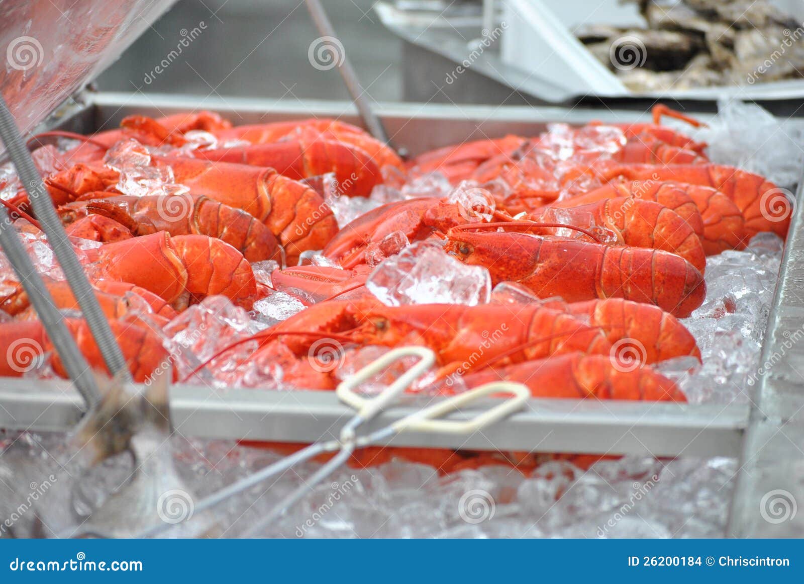 Lobsters stock photo. Image of healthy, eating, states 26200184