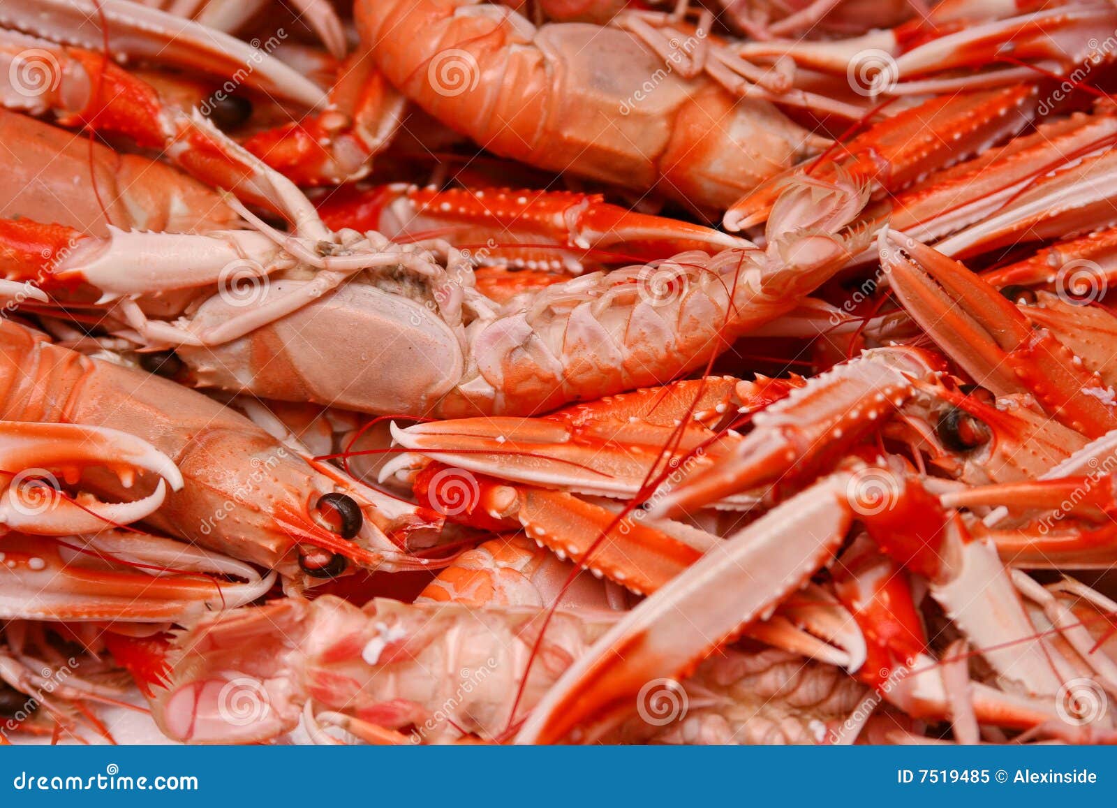 Bayou Crab Trap Stock Image 166985725