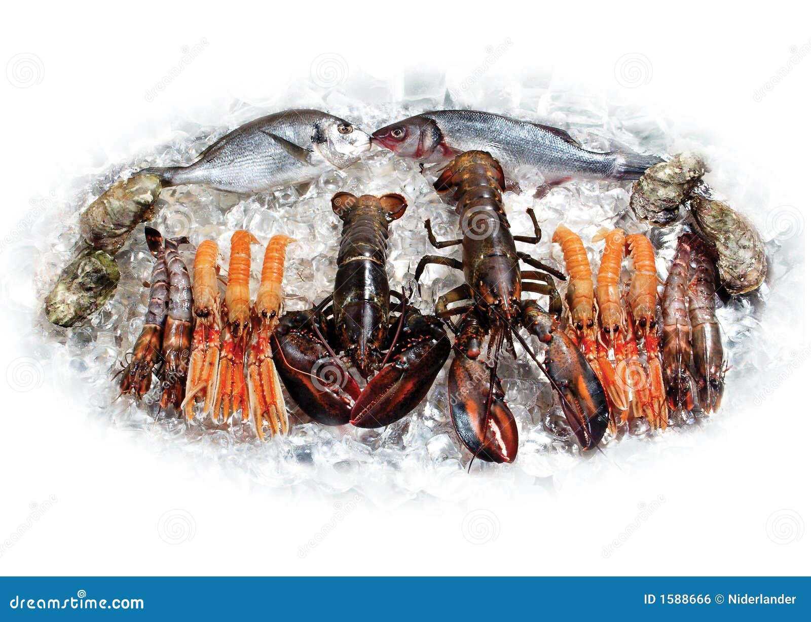 Lobsters and fish stock photo. Image of marine, luxury 1588666