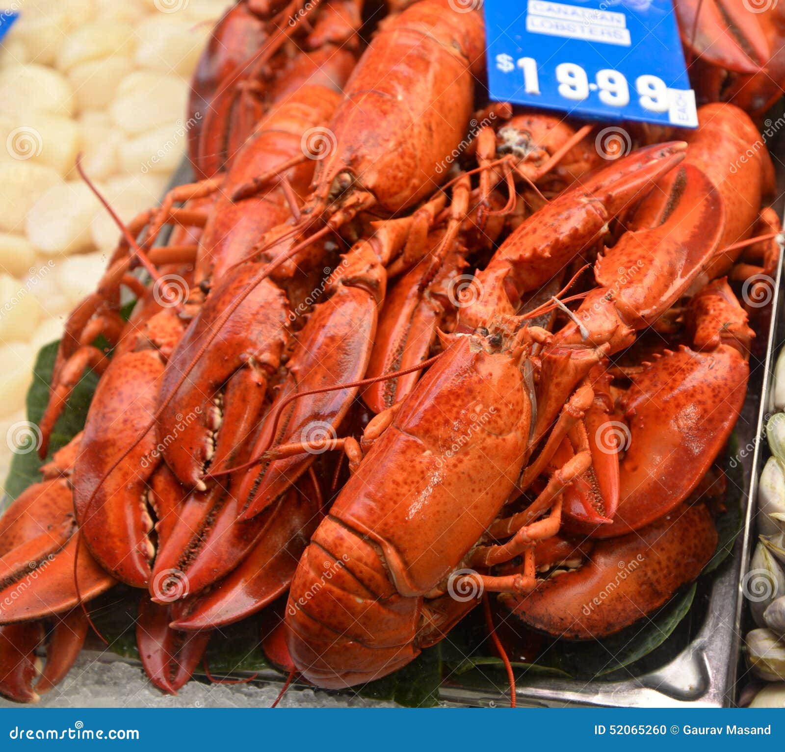 Lobsters for Sale in Market Place Editorial Image Image of singapore