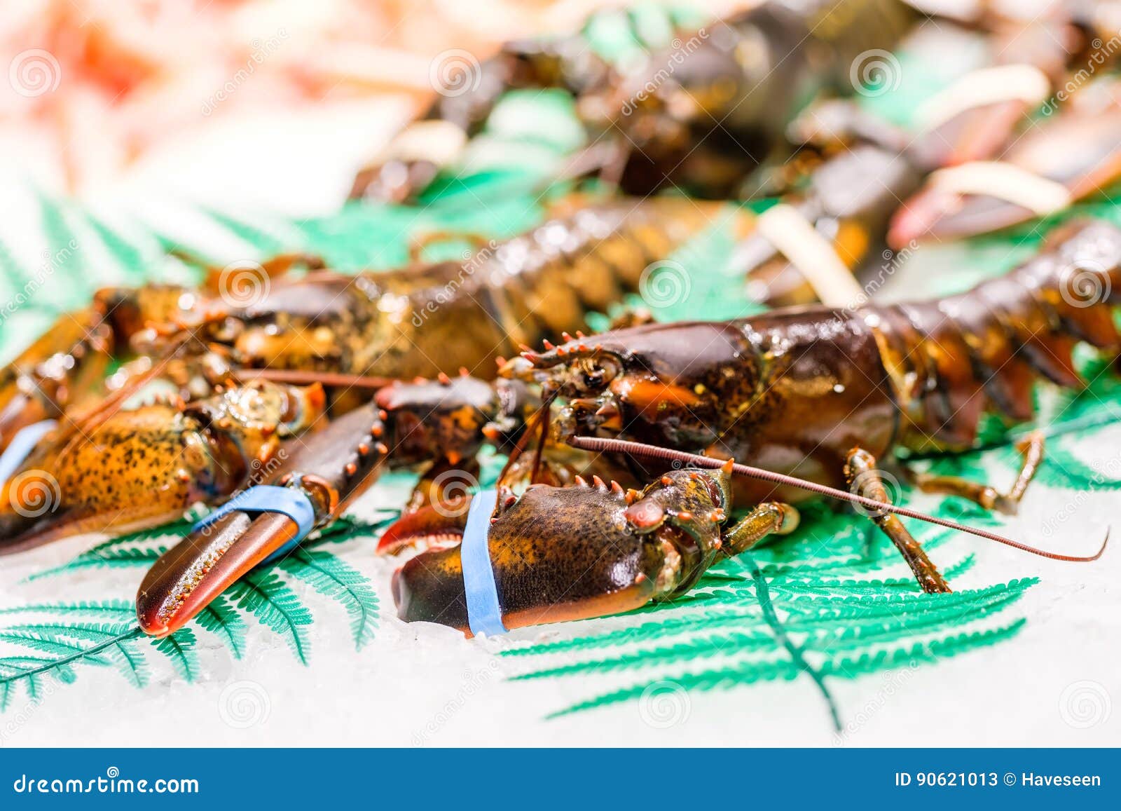 Lobsters at seafood market stock image. Image of shell 90621013