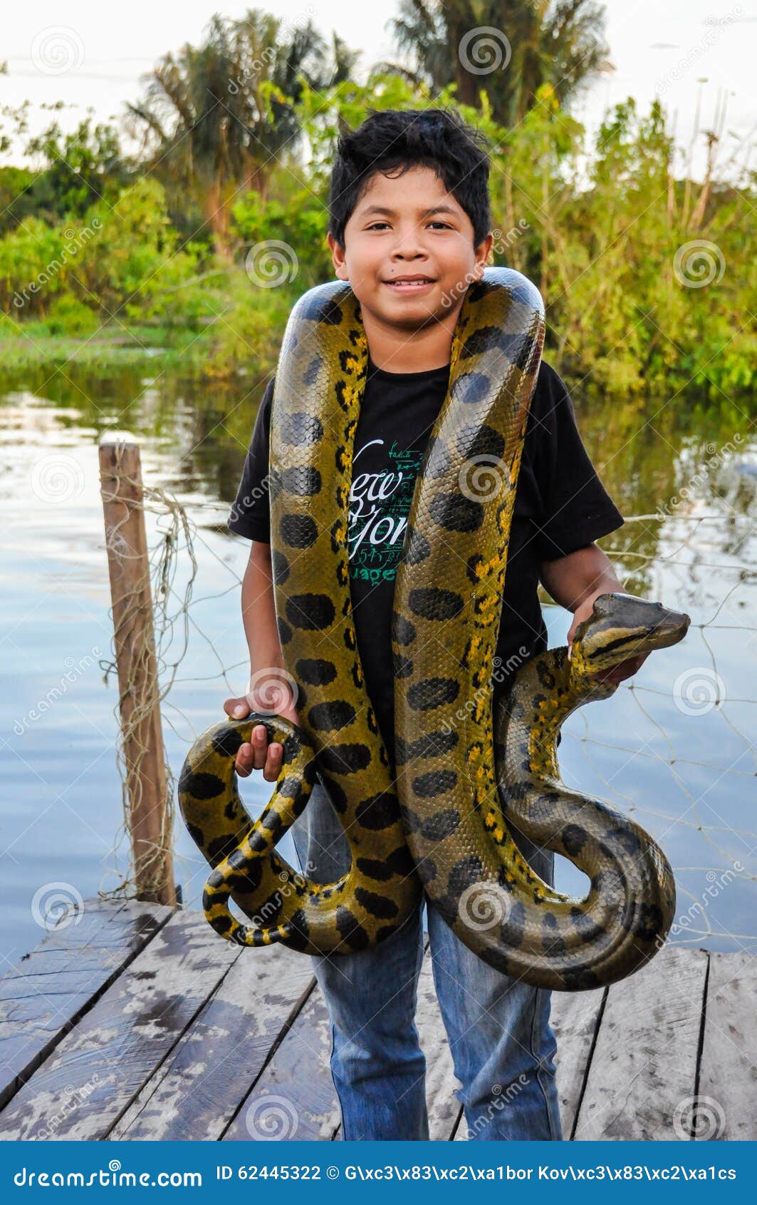 Brazil Amazon Forest Anaconda Photos Free Royalty Free Stock Photos From Dreamstime