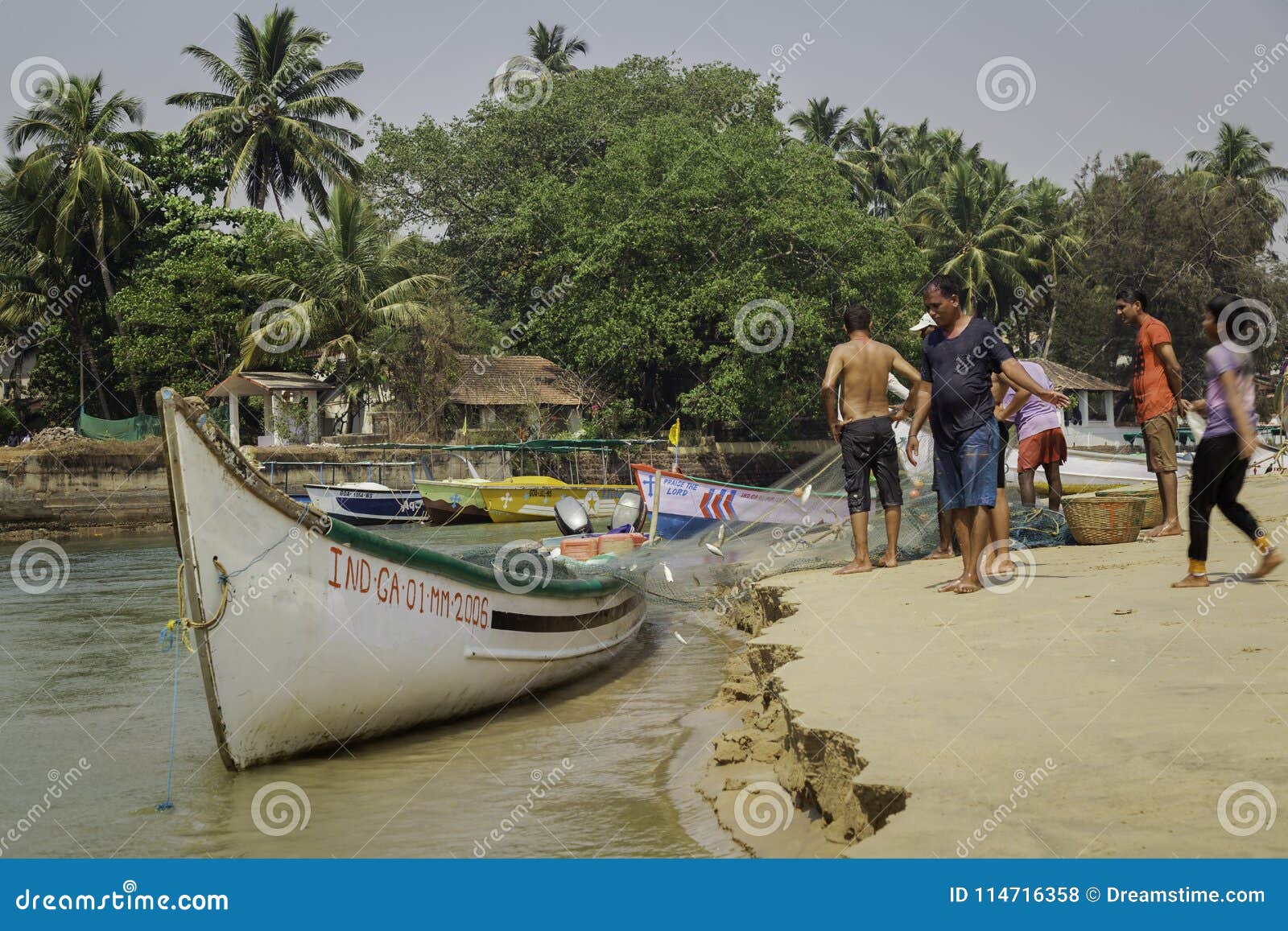 Fishermen Catching Big Fish in Net Community Fishing in Asia Hd