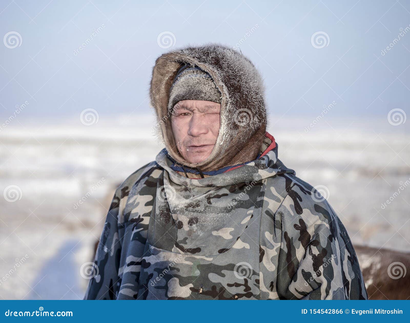 local resident of the tundra, reindeer herder