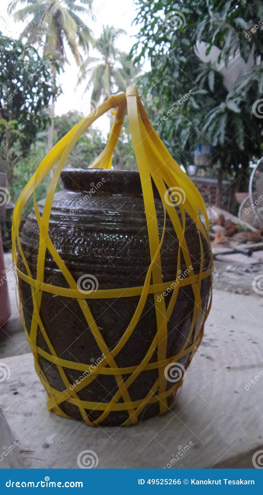 Local rice wine jar stock photo. Image of flowerpot, rice 49525266