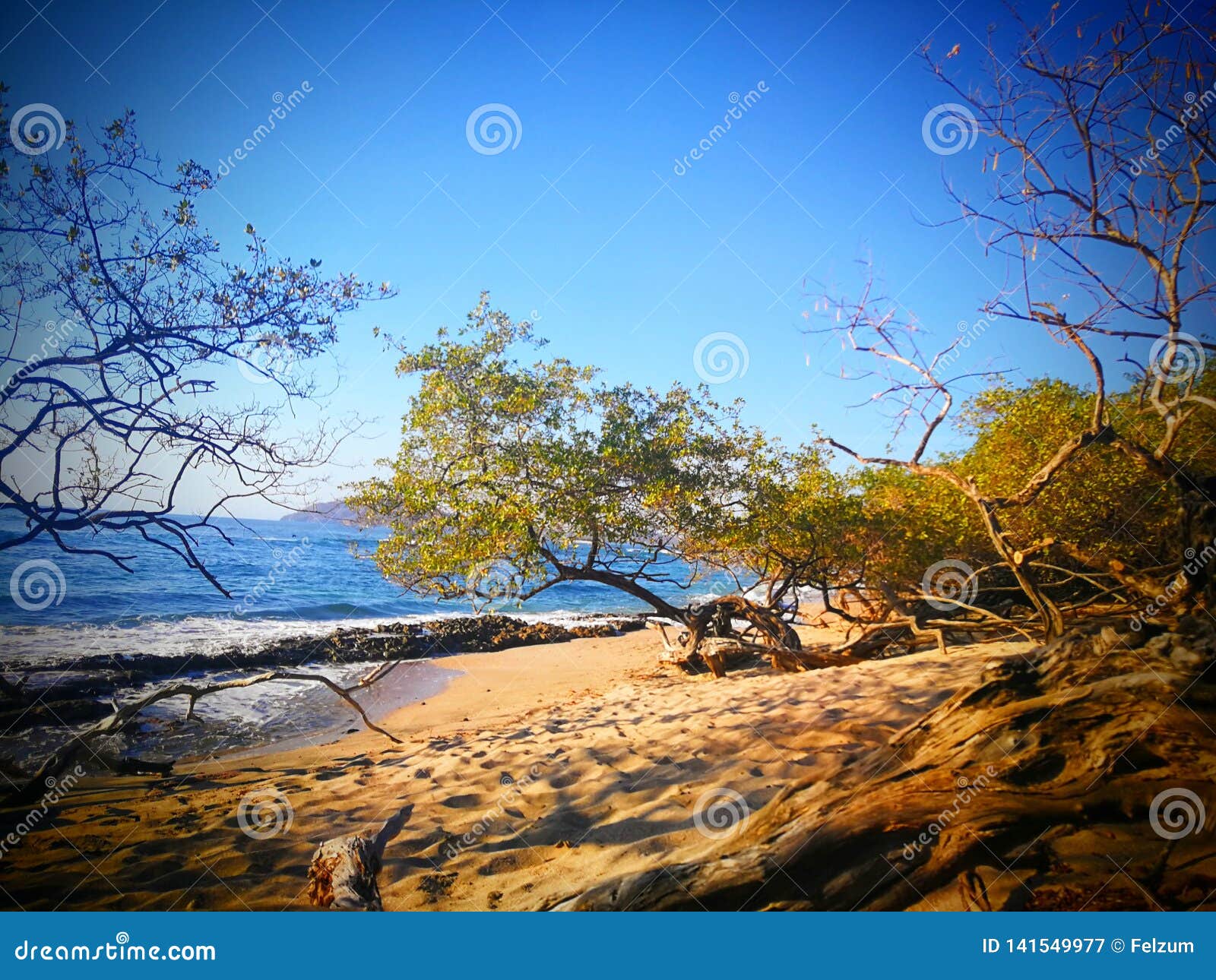 playa langosta beach, costa rica