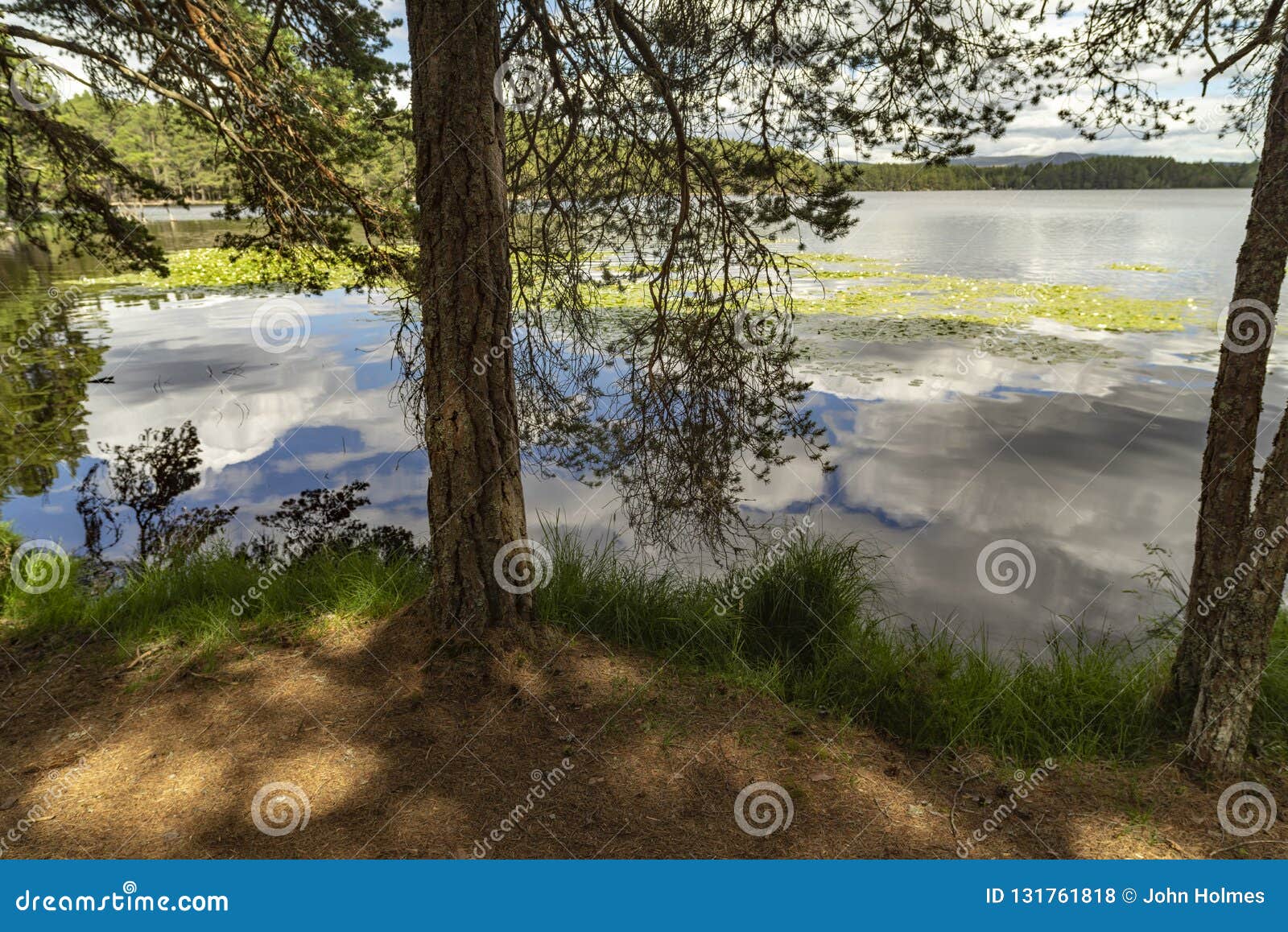 Loch Garten in the Cairngorms National Park of Scotland Stock Photo