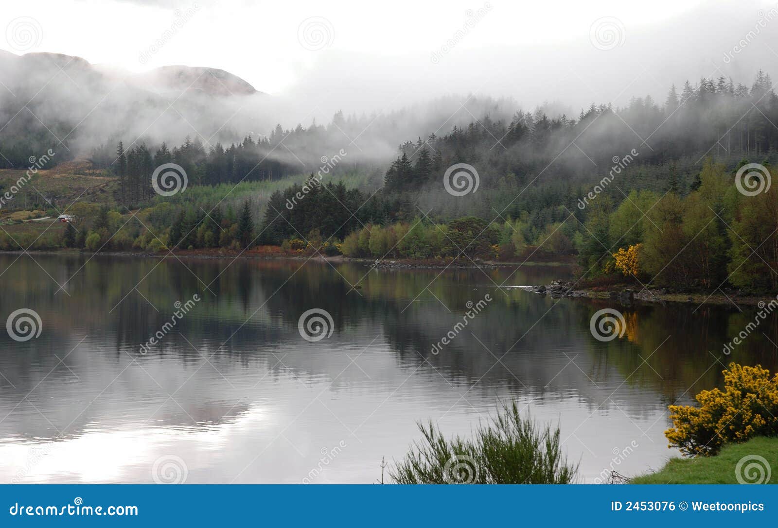 Loch maree. De mist van de ochtend dichtbij kinlochewe, Schotland
