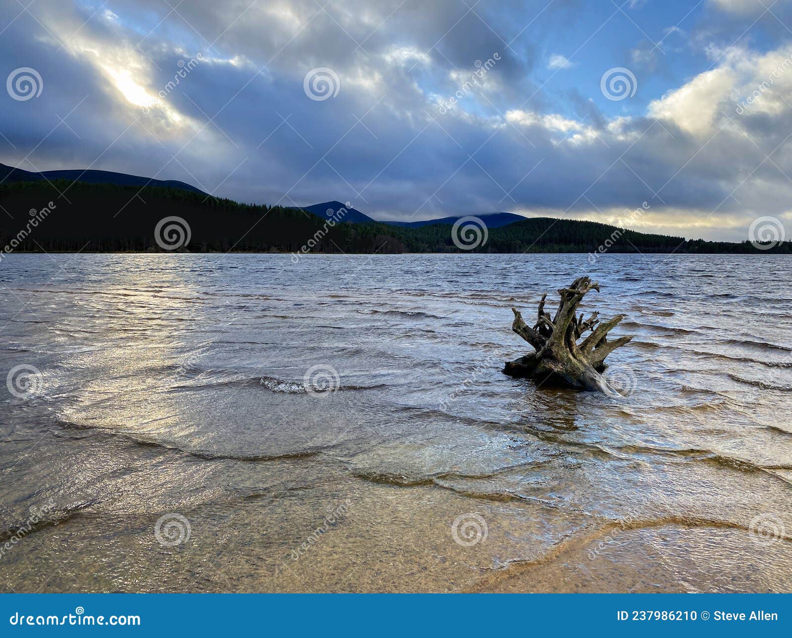 loch morlich - cairngorms - scotland