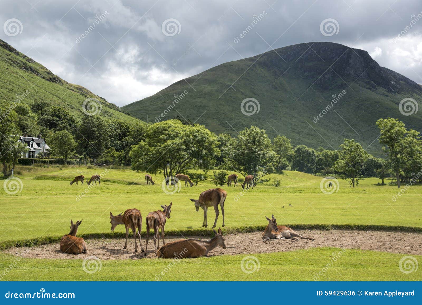 Lochranza Golf Course stock photo. Image of scotland 59429636