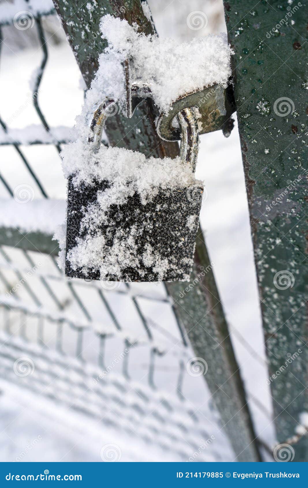 lock on a frosty metal fence in winter time