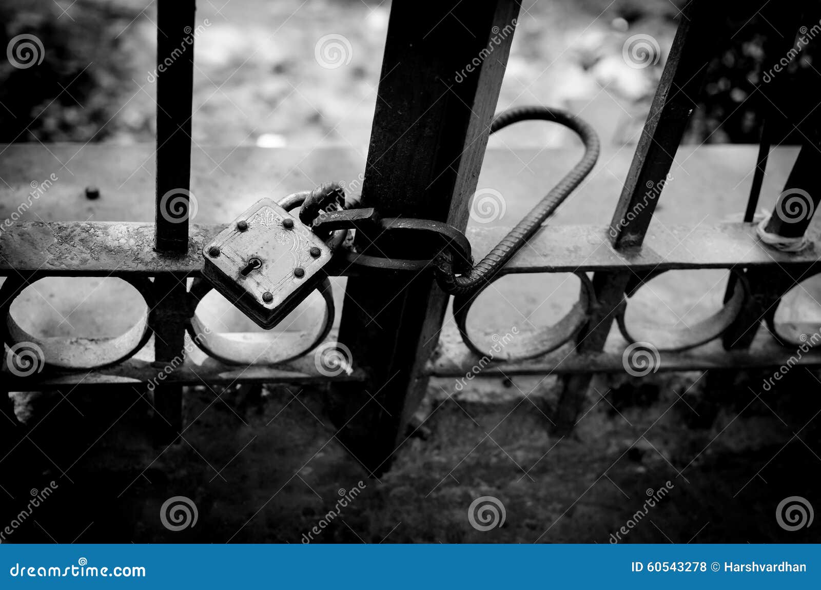 The lock on the grills stock photo. Image of texture - 60543278