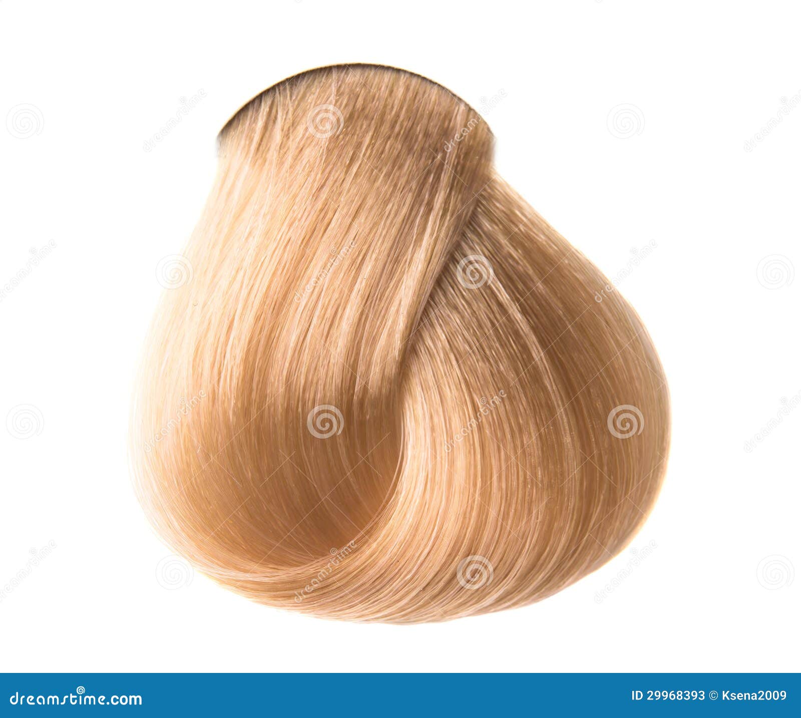 Lock Of Hair Color Stock Image Image Of Curl Beauty 29968393