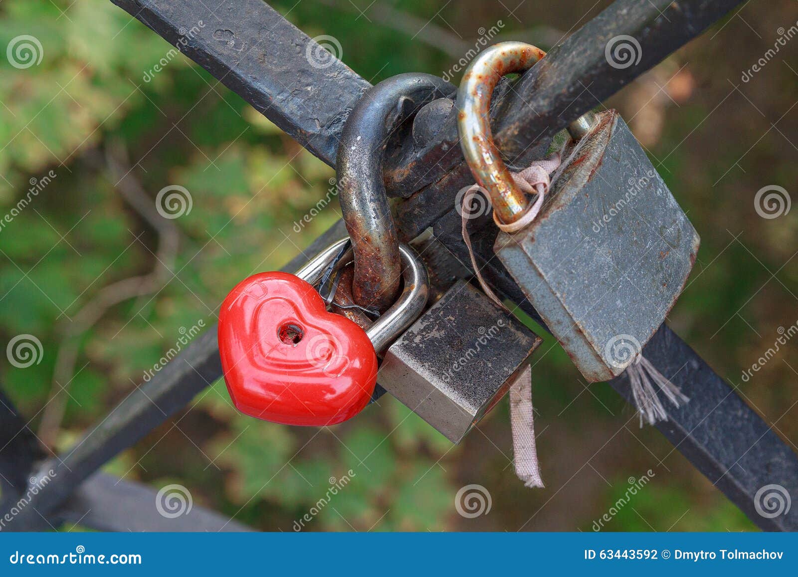 Locks on the Railing of the Bridge Stock Photo Image of loyalty