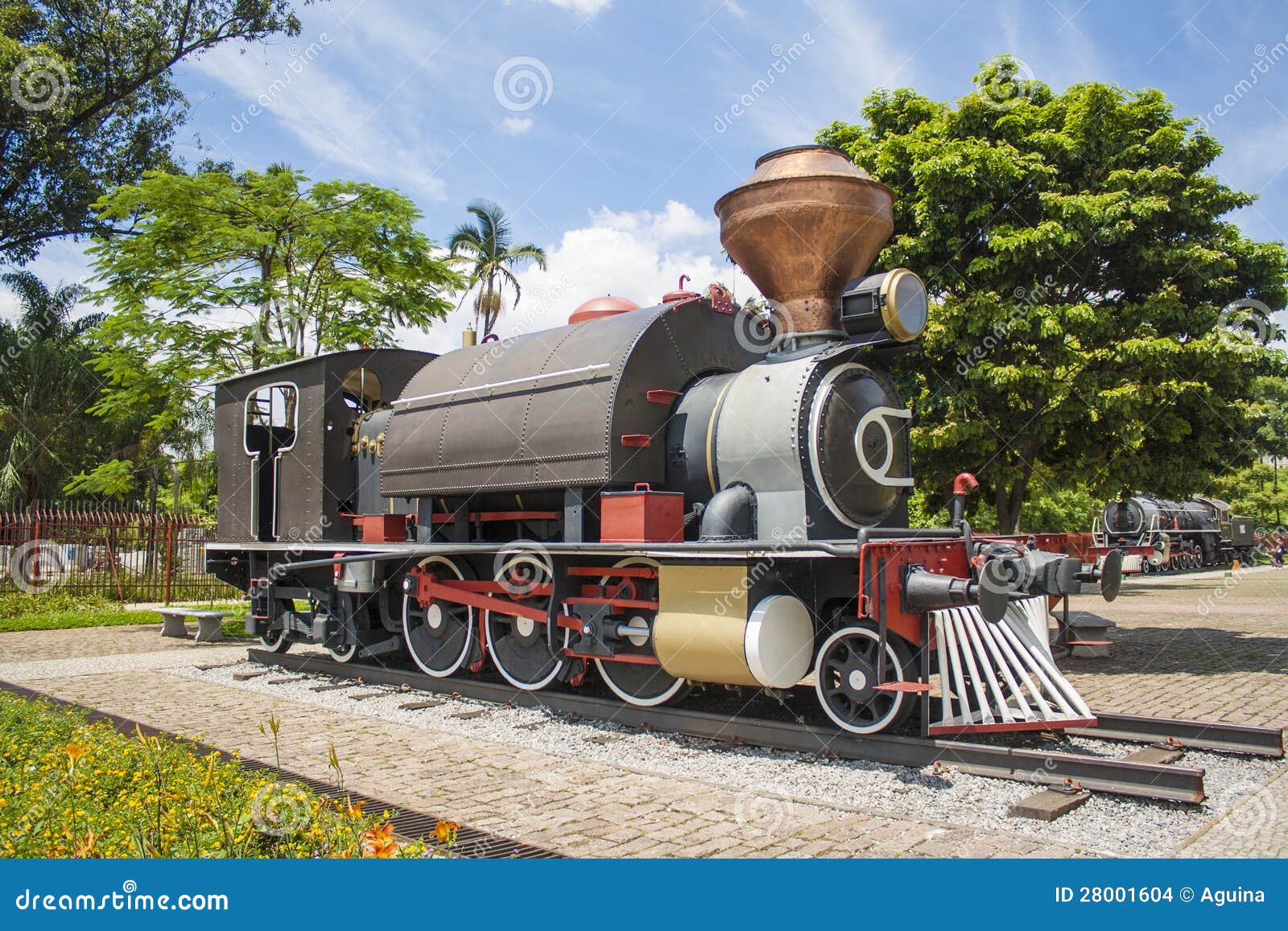 Preserved Steam in Brazil