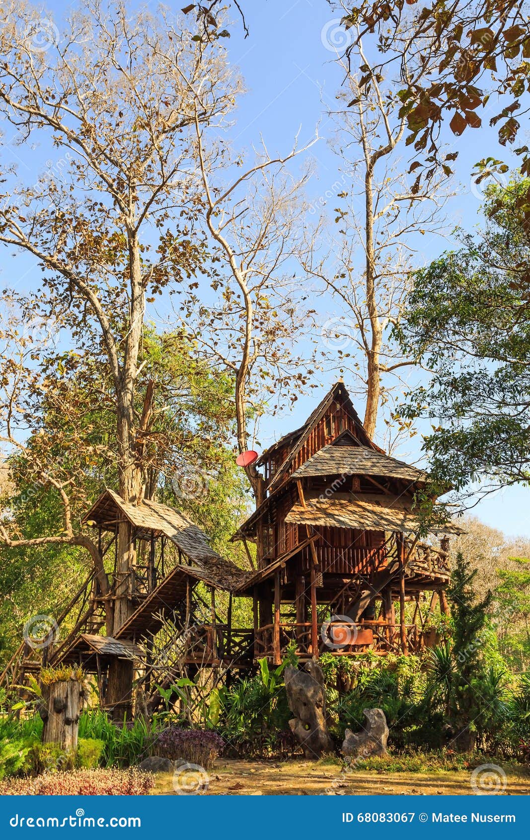 lodging treehouse at mae chaem