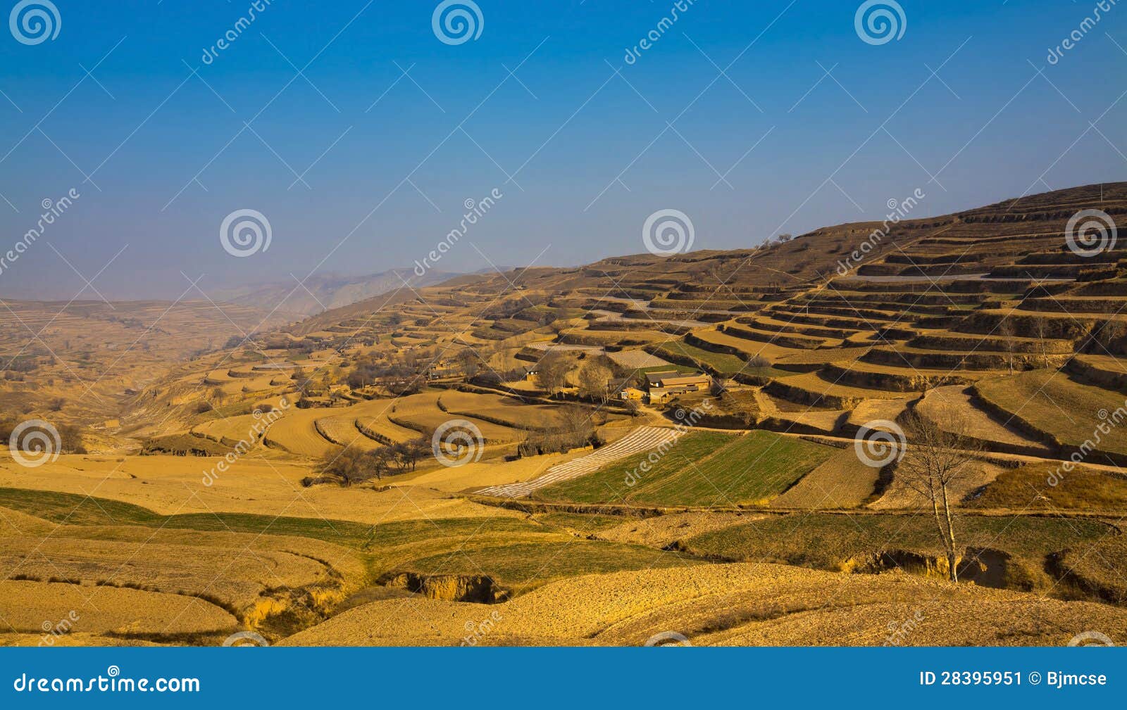 loess plateau farmland