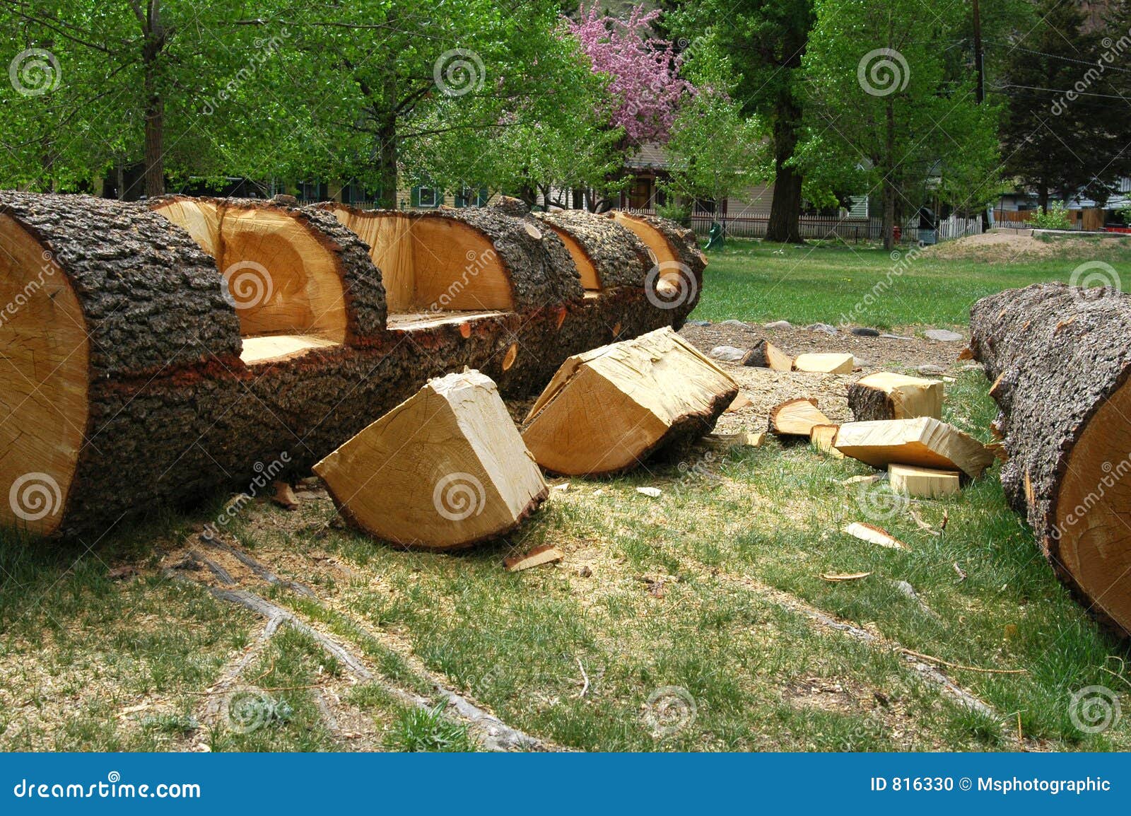 Log Bench stock photo. Image of carved, wood, forest ...