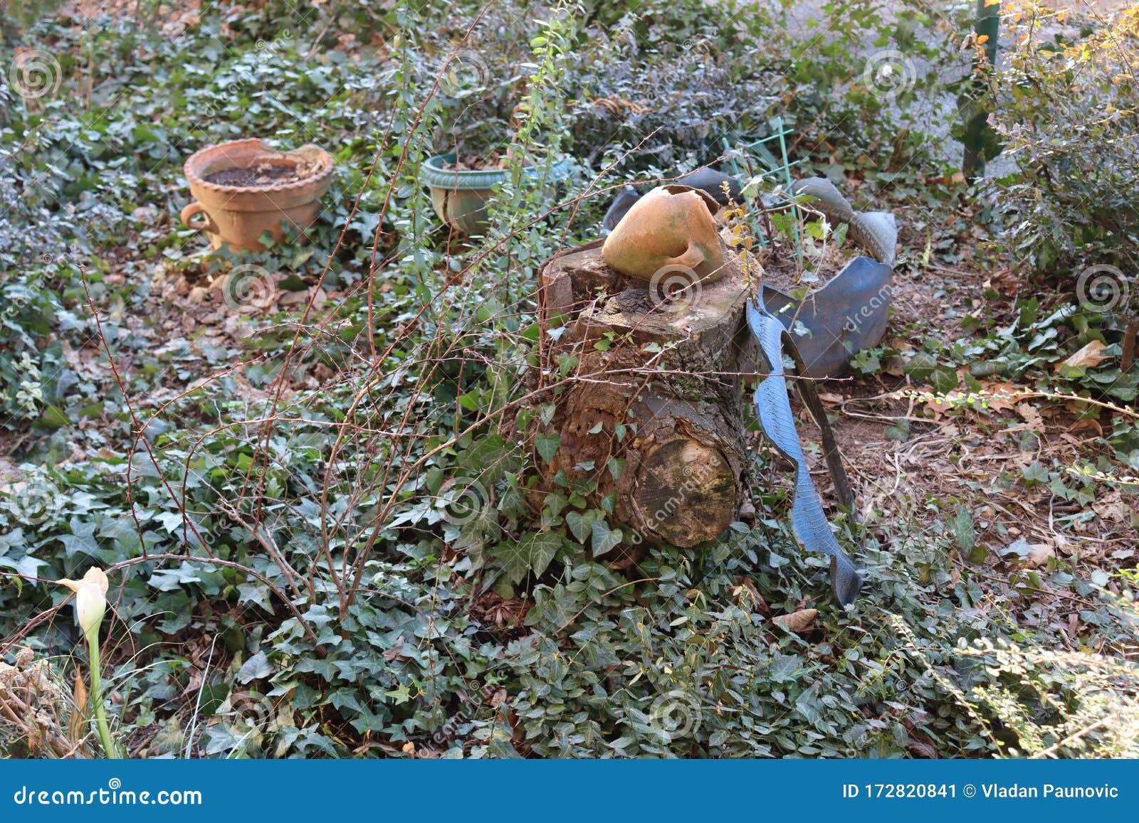 Log and Broken Pottery Garden Stock Image Image of objects, pottery